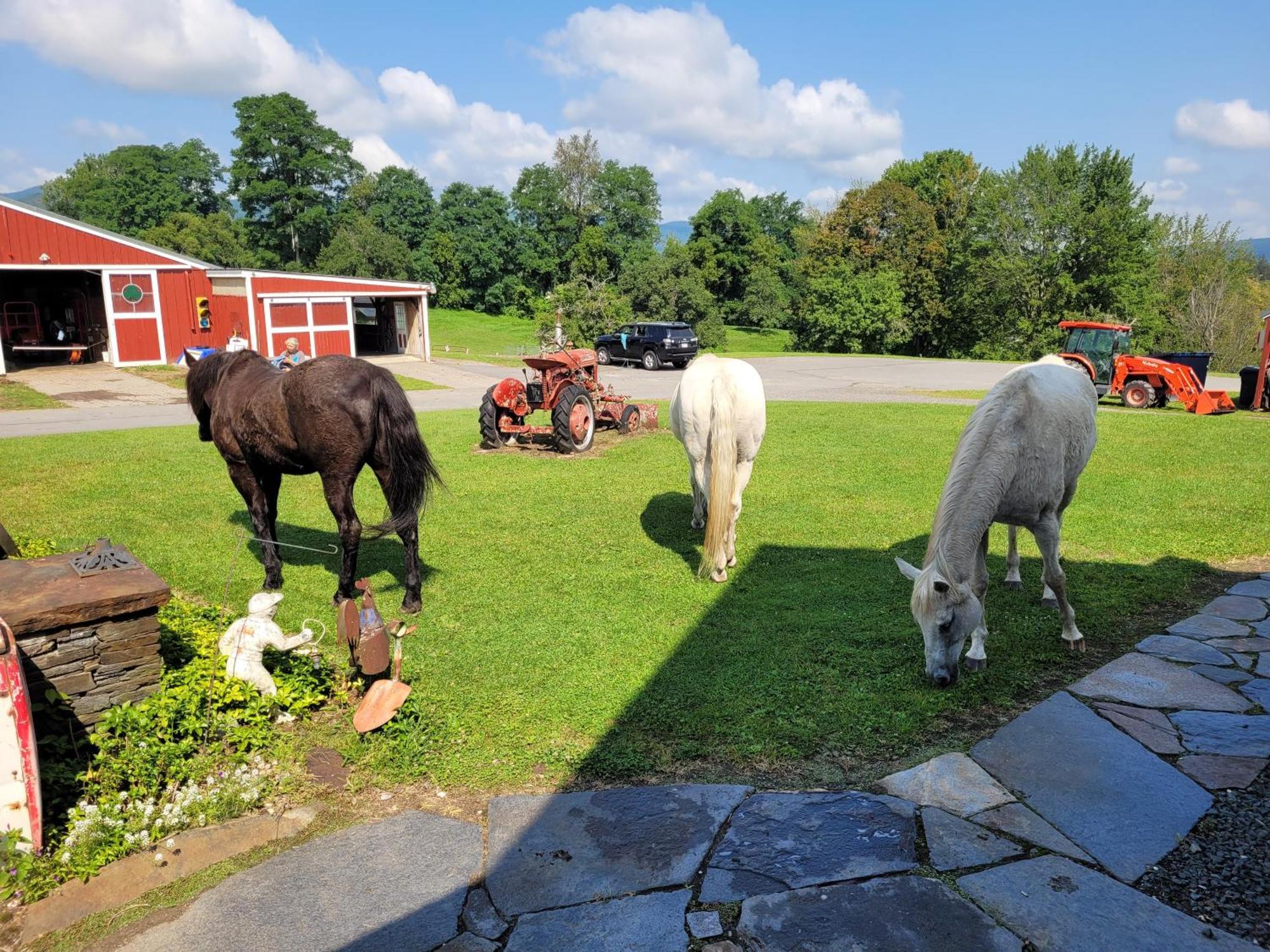 Clover Hill Farm & Country Inn Williamstown Exteriör bild