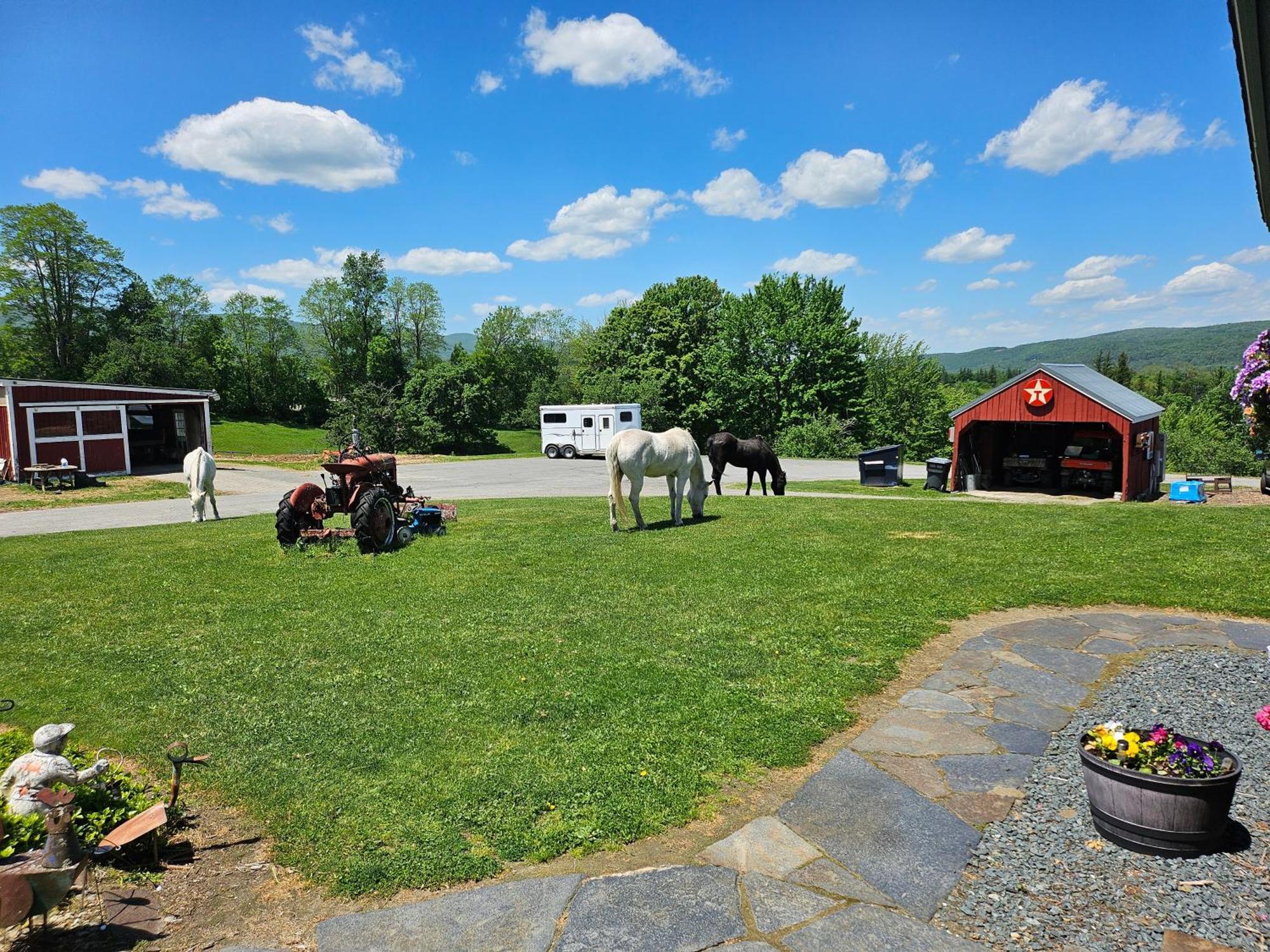 Clover Hill Farm & Country Inn Williamstown Exteriör bild