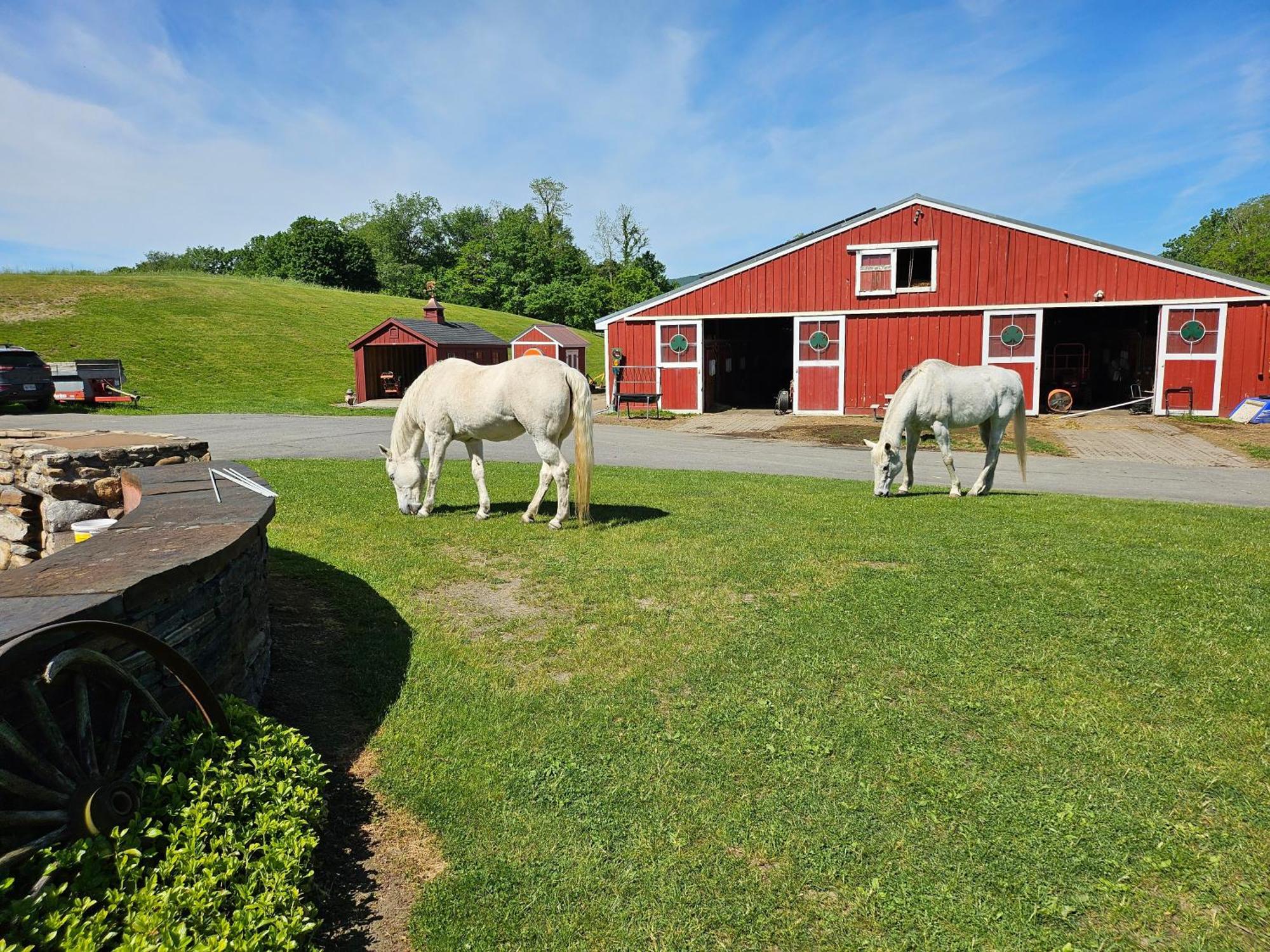 Clover Hill Farm & Country Inn Williamstown Exteriör bild